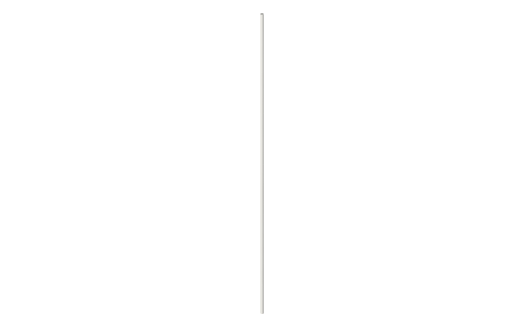 Bamboo skewer Ø3 × 300 mm, isometric render of a generated part