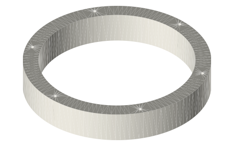 Chamber rings Ø100 and Ø150 × 20, isometric render of a generated part