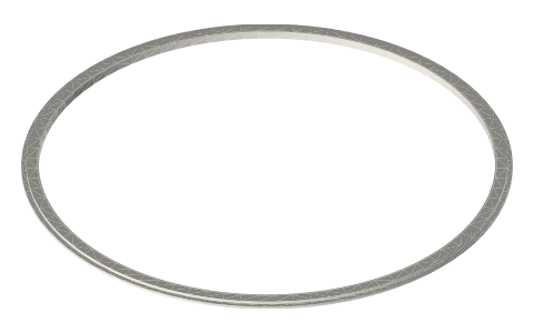 Sanitary clamp gaskets, 10 and 12 in (Type B profile), isometric render of a generated part