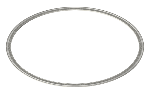 Sanitary clamp gaskets, 10 and 12 in (Type B profile), isometric render of a generated part
