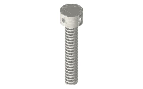 Screw-jack screw Tr16×4, 90 mm thread, Ø28 head with tommy-bar holes, isometric render of a generated part